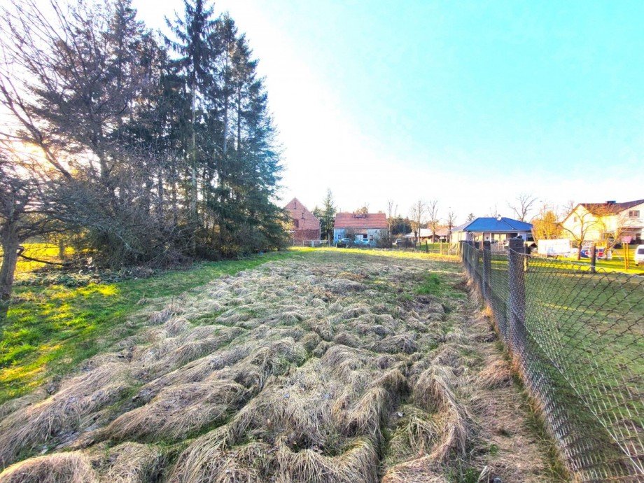 Naturgarten Einfamilienhaus Staakow