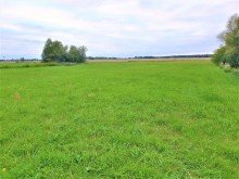 Grundst�ck Sch�nefeld - Waltersdorf - 60.712 m� Gewerbegrundst�ck