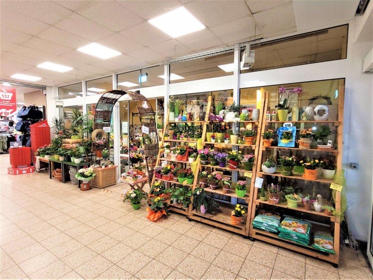 Ladenlokal K�nigs Wusterhausen Ladenlokal 49 m� Ladenlokal in begehrter Stadtlage