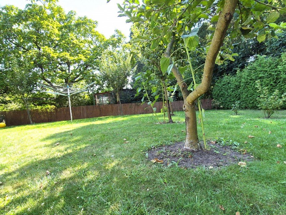 Garten Einfamilienhaus Wildau
