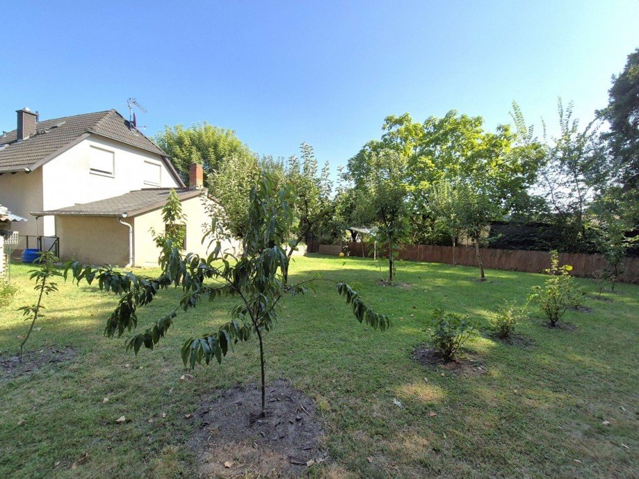 Garten Einfamilienhaus Wildau