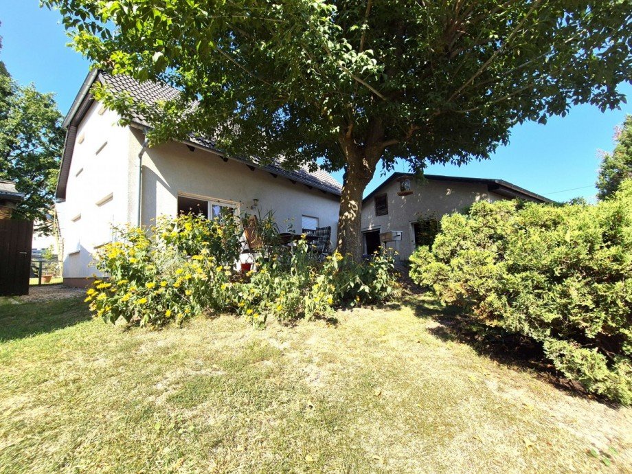 Haus I Einfamilienhaus Wildau